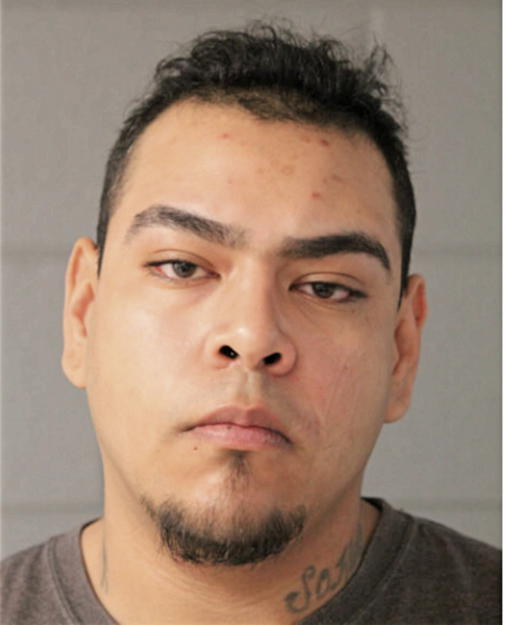 JAIME JR ANDRADE, Cook County, Illinois