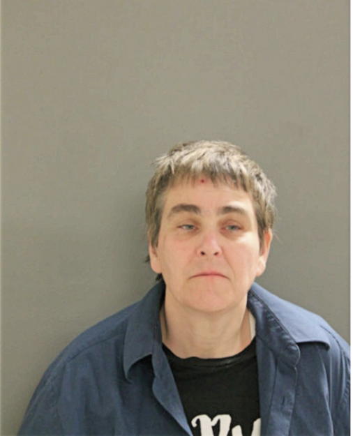 CINDY A BECKERMAN, Cook County, Illinois