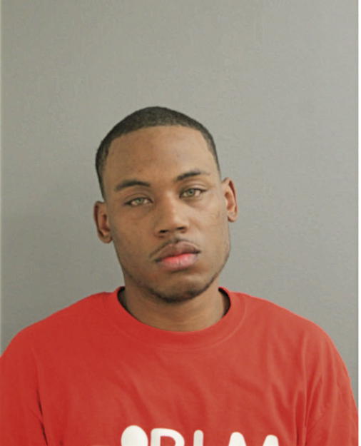 CHRISTOPHER L BROWN, Cook County, Illinois