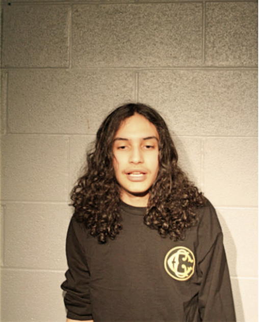 SEBASTIAN CERTAIN, Cook County, Illinois