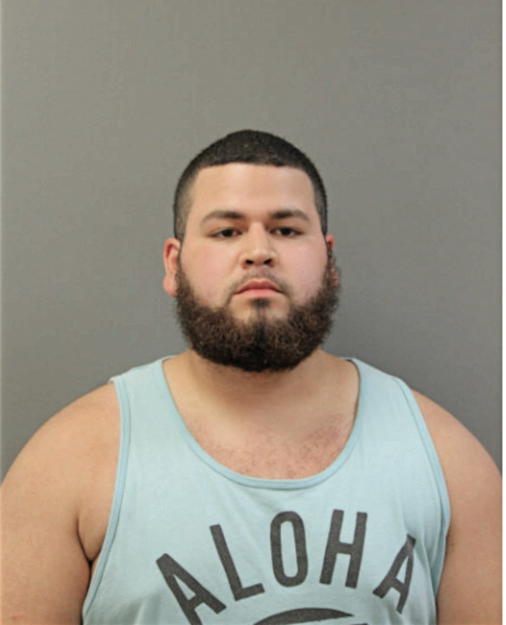 HECTOR E CHEVES, Cook County, Illinois