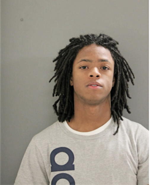 DANIEL D DAVIS, Cook County, Illinois