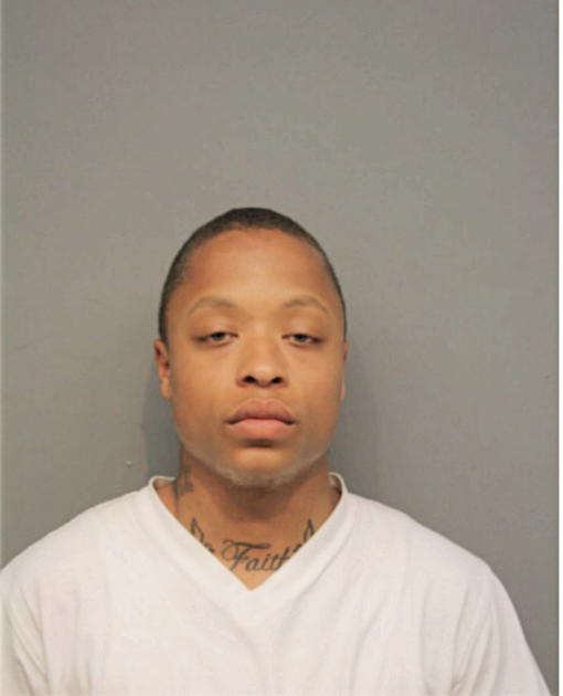 JESSE R DENHAM, Cook County, Illinois
