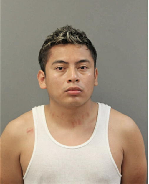 LUIS A DIAZ-ALONZO, Cook County, Illinois