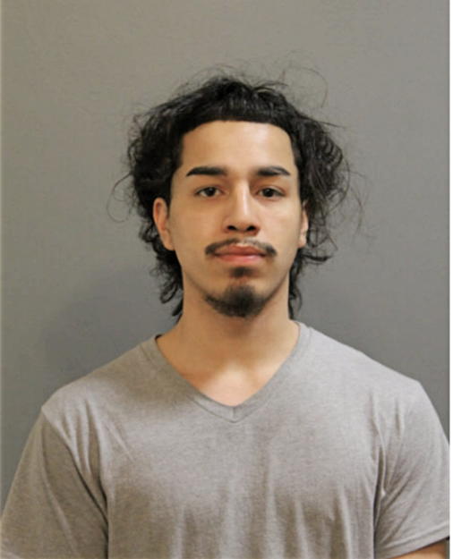 VINCENT GUERECA, Cook County, Illinois