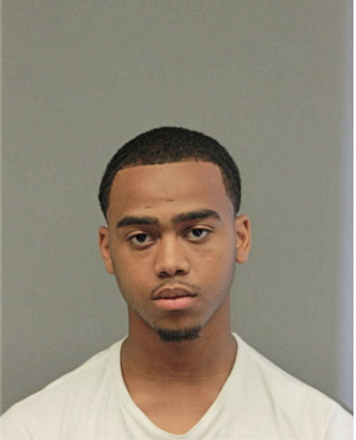 LAJON M HAYES, Cook County, Illinois