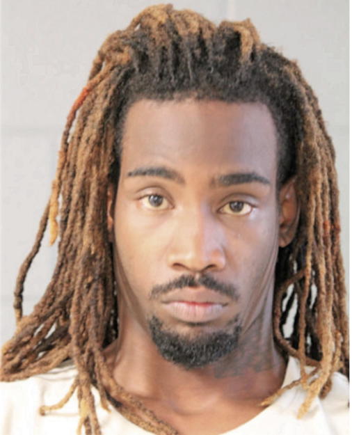 TERRANCE HAYES, Cook County, Illinois