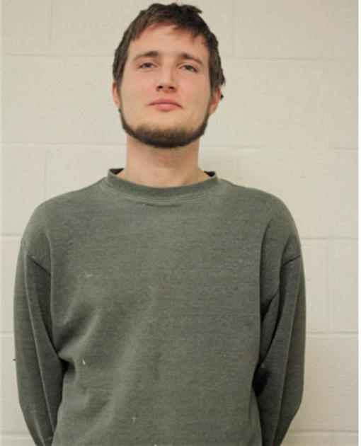 VADYM V HLADCHUK, Cook County, Illinois