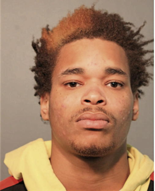DEONTAE TREVON HOLLINS, Cook County, Illinois