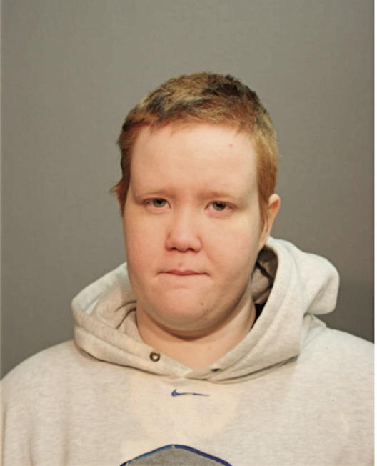 ERIN E JANKOWSKI, Cook County, Illinois