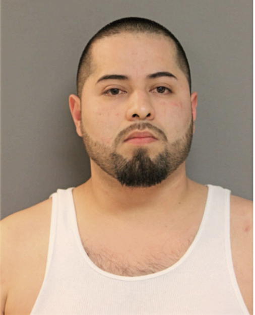 JOSE DE JESUS PUENTES, Cook County, Illinois