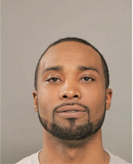 ROBERT L JOHNSON, Cook County, Illinois