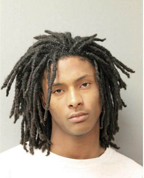 DARTANYEN T LEWIS, Cook County, Illinois