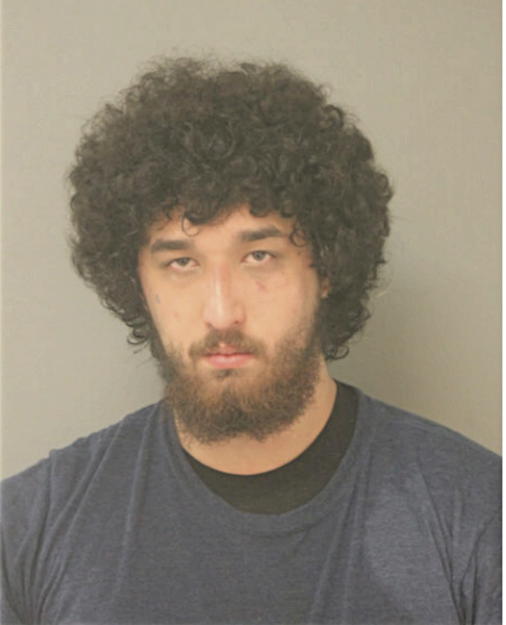 STEVEN I MENDOILA, Cook County, Illinois