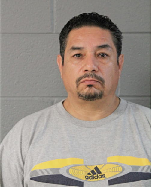 JUAN MENDOZA, Cook County, Illinois