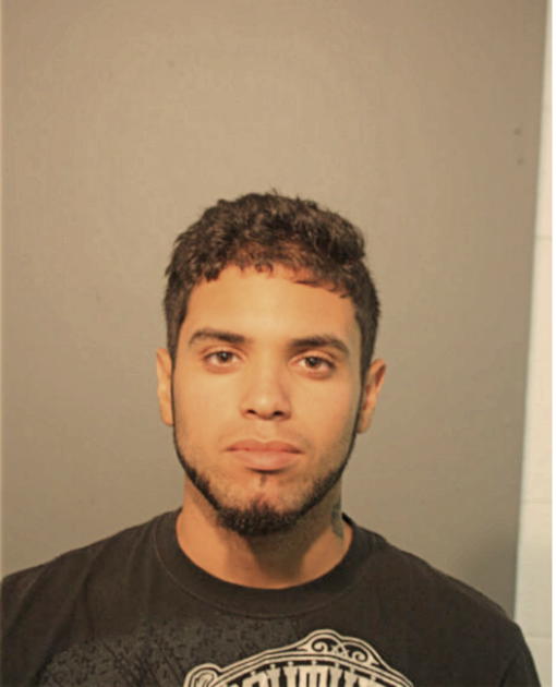CHRIS ORTIZ, Cook County, Illinois