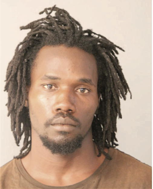 STEVIE L PATTON, Cook County, Illinois