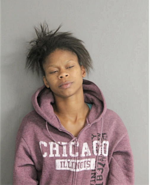 SETINA L ROBINSON, Cook County, Illinois
