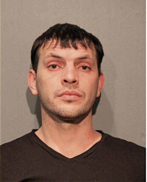ALEN A SALVETTI, Cook County, Illinois