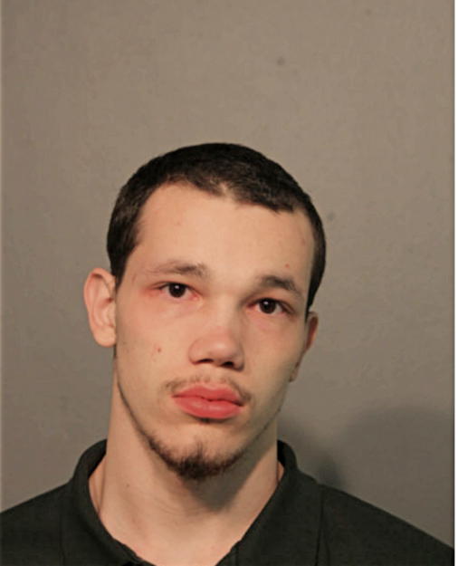 DEONTA L SANCHEZ, Cook County, Illinois