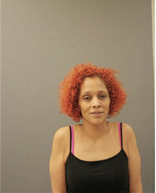 YOLANDA SILVA, Cook County, Illinois