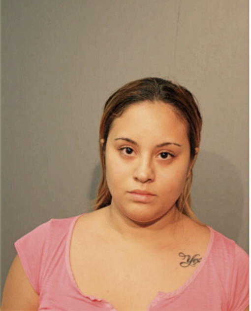 AMANDA L SOLER, Cook County, Illinois