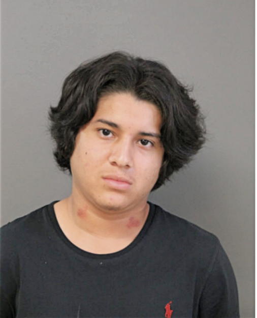 ALEXIS DEL TORO, Cook County, Illinois
