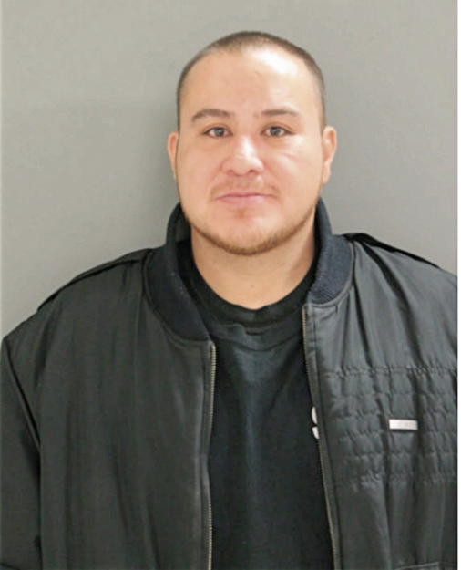 ADRIAN TORRES, Cook County, Illinois