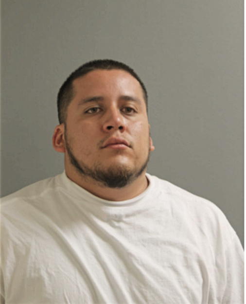 ALEXANDRO ALANIZ, Cook County, Illinois