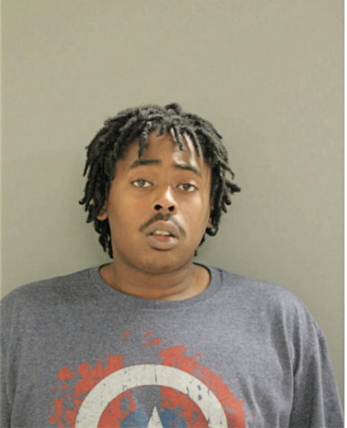 KENNETH L ANDERSON, Cook County, Illinois
