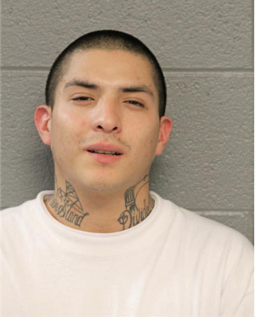 GINO CARRASCO, Cook County, Illinois