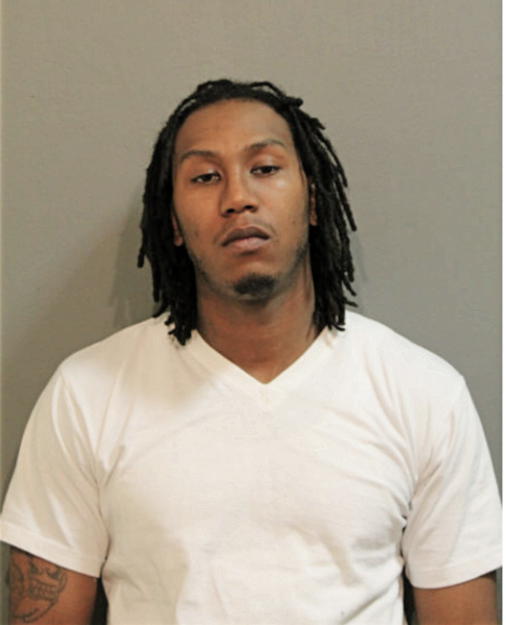 BRANDON M CRIBBS, Cook County, Illinois
