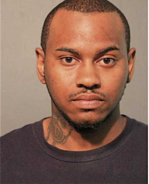 TERRY T DUREN, Cook County, Illinois