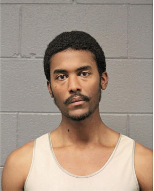 PAUL H FOOTE, Cook County, Illinois