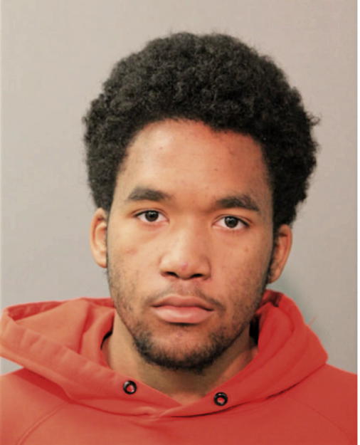 BRADLEY C GREEN, Cook County, Illinois