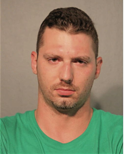 PETER S HOFFEE, Cook County, Illinois