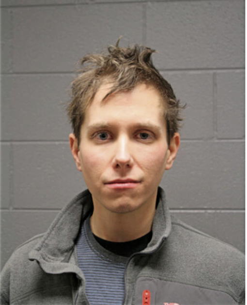 ANTHONY MICHAEL JANIS, Cook County, Illinois