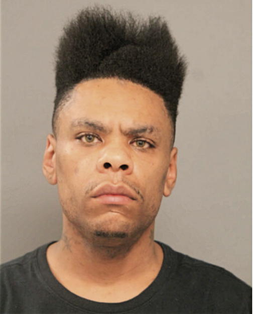 CHRISTOPHER L JOHNSON, Cook County, Illinois