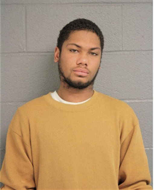 DARNELL L MARTIN, Cook County, Illinois