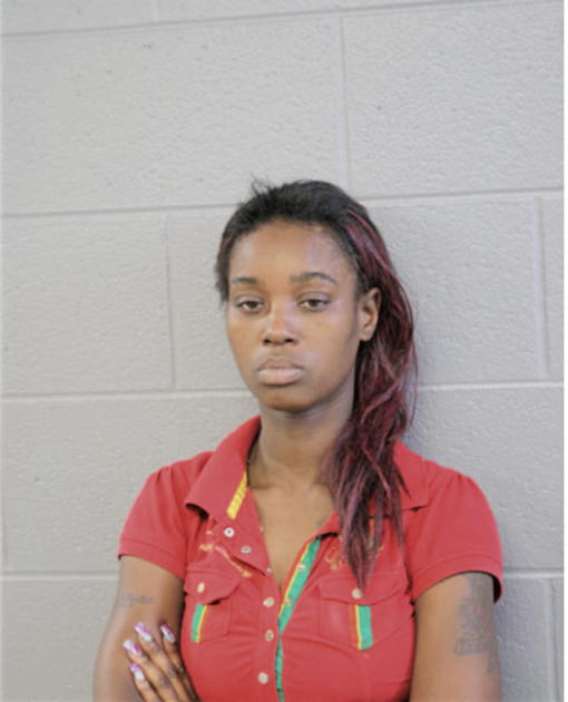 VIVIAN L MCGEE, Cook County, Illinois