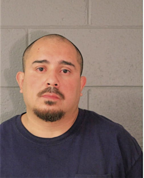 RICARDO A OCHOA, Cook County, Illinois