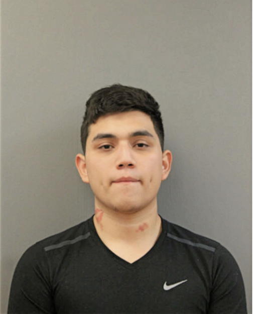ALFREDO REYES, Cook County, Illinois
