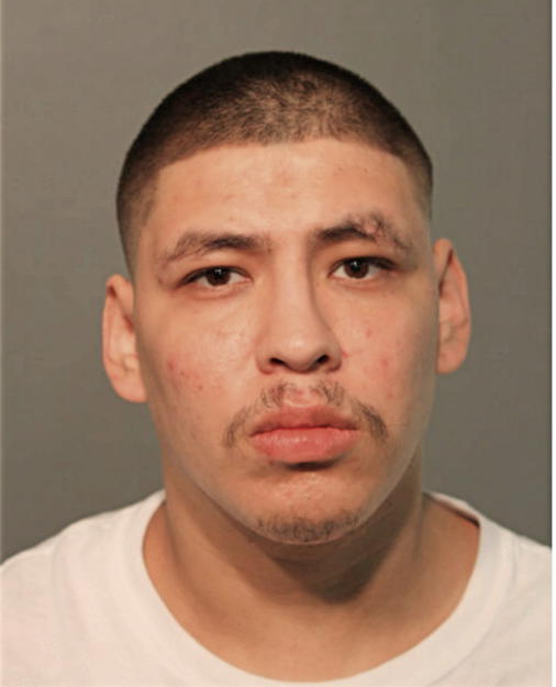 CHRISTIAN E RODRIGUEZ, Cook County, Illinois