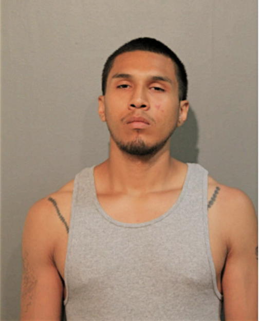 DAVID R RODRIGUEZ, Cook County, Illinois