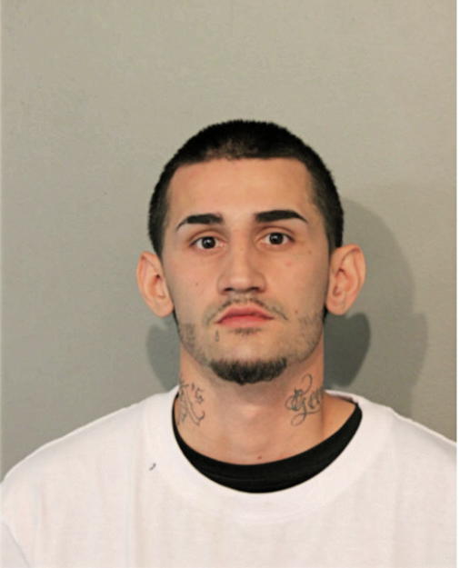 DAVID R ALVAREZ, Cook County, Illinois