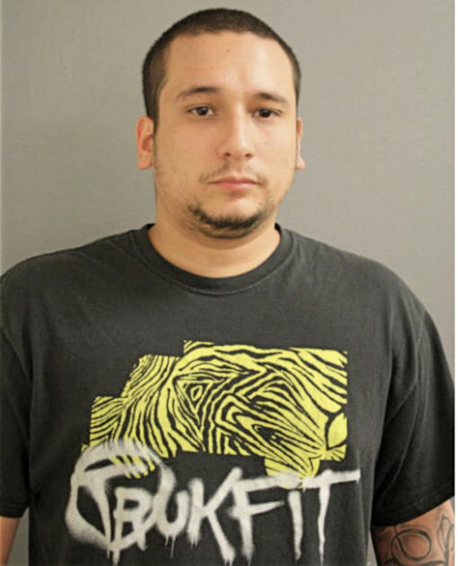 ANIBAL ARROYO, Cook County, Illinois
