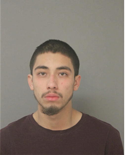 JULIO AVILES, Cook County, Illinois
