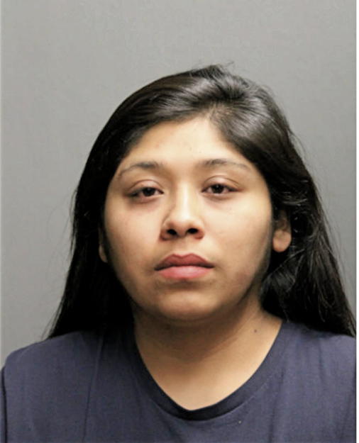 VANESSA NMI BAHENA, Cook County, Illinois