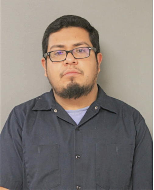 PEDRO PLATA BLANQUEL, Cook County, Illinois