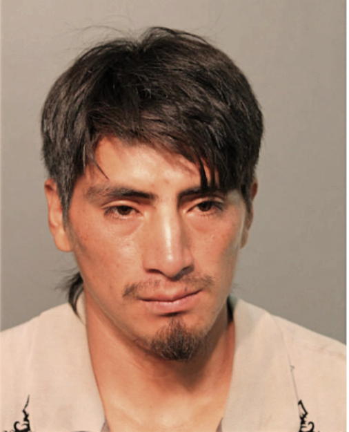JOSE CAGUANA, Cook County, Illinois